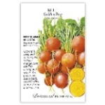 Botanical Interests Beet Golden Boy Seed