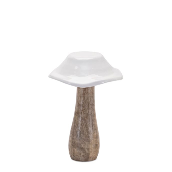 White Enamel Mushroom